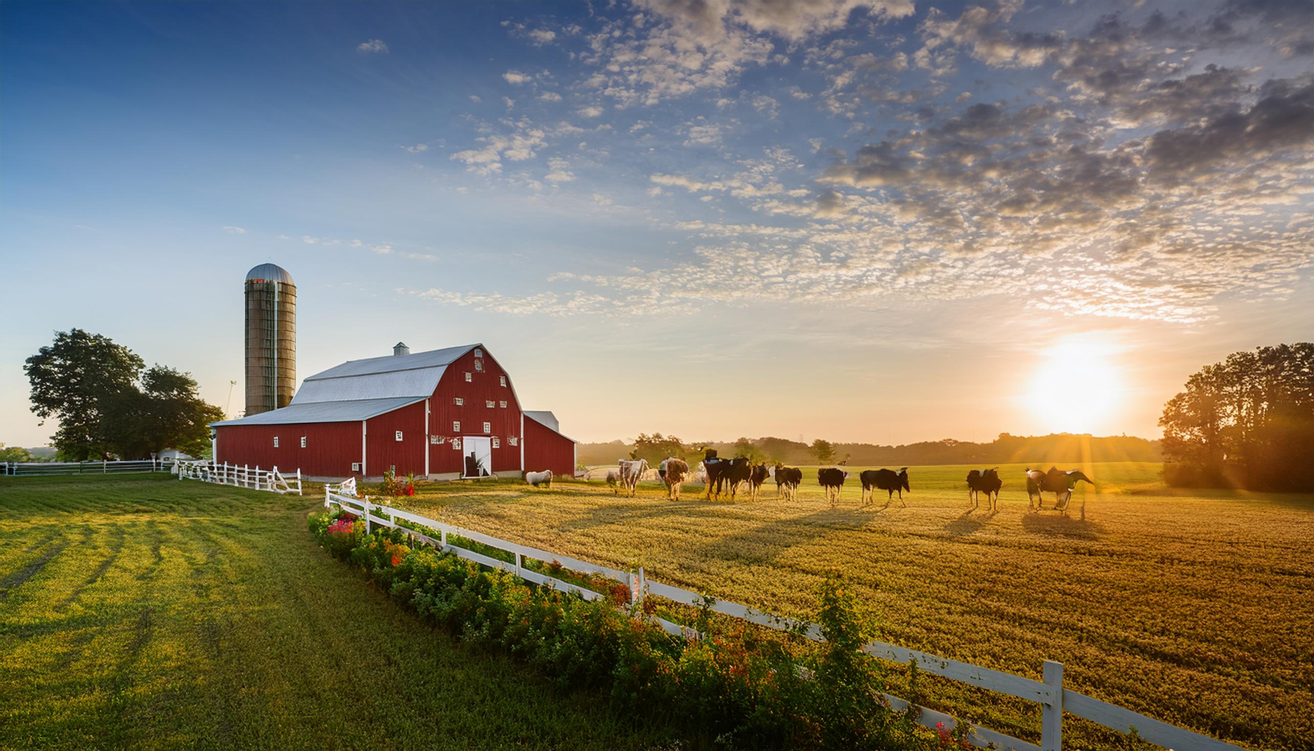 BlueRiver Farms